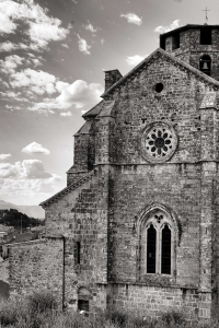 ambrogio-pettorini-ferentino-1