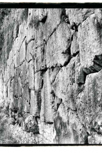 ambrogio-pettorini-ferentino-6