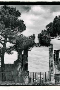 ambrogio-pettorini-ferentino-7