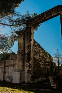 andrea-caliciotti-ferentino-03