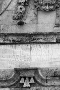 ferentino-alfredo-vitale-01