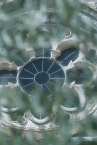 ferentino-alfredo-vitale-08