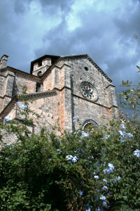 ferentino-alfredo-vitale-09