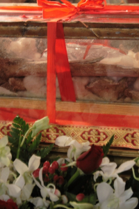 ferentino-alfredo-vitale-16