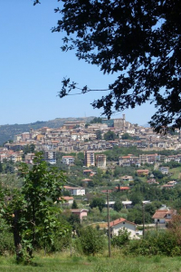 ferentino-alfredo-vitale-19